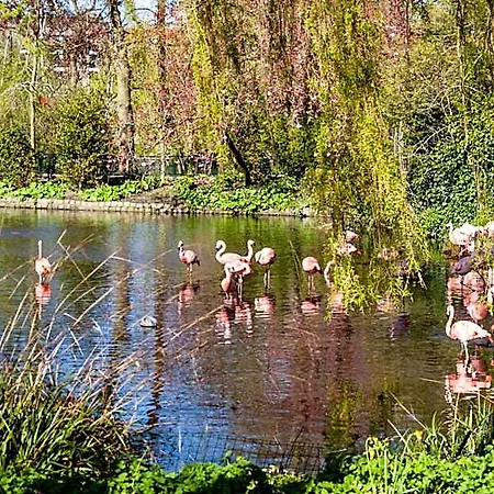 Park Plantage Hotel Amsterdam
