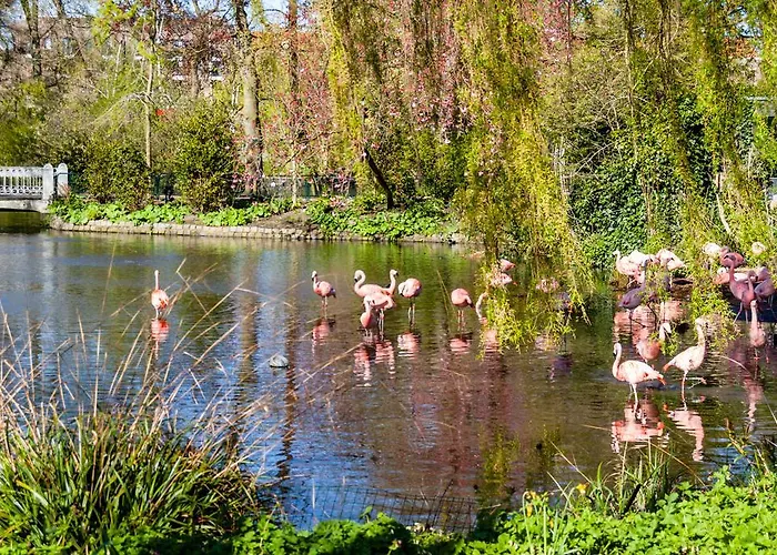 호텔 Park Plantage 3*